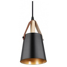 Подвесной светильник arte lamp thomas a7032sp-1bk